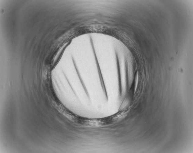 X0000085290233200704092240