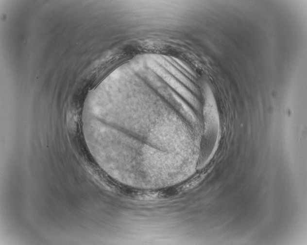 X0000085290235200704092240