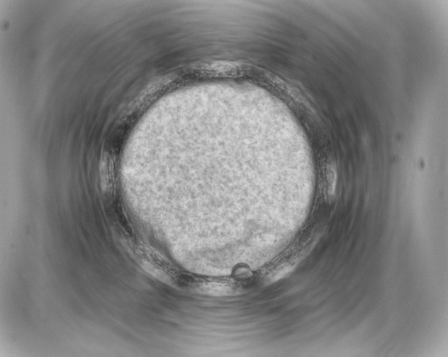 X0000085290236200704092240