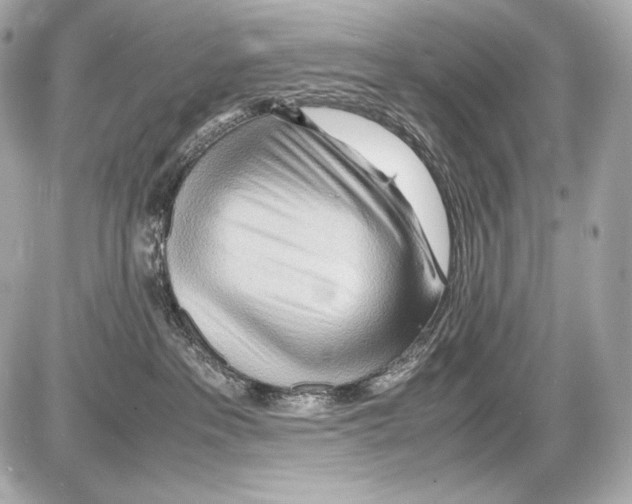 X0000085290237200704092240