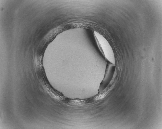 X0000085290239200704092240