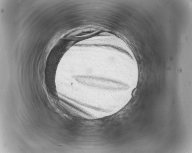 X0000085290241200704092239