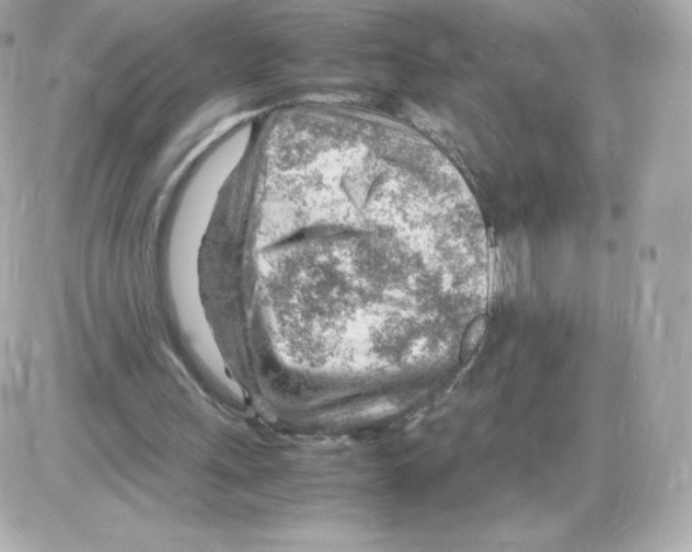 X0000085290243200704092239