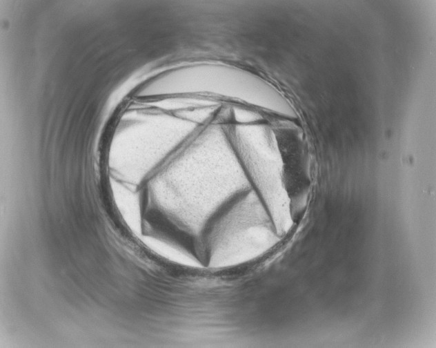 X0000085290246200704092239