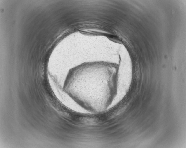 X0000085290255200704092239