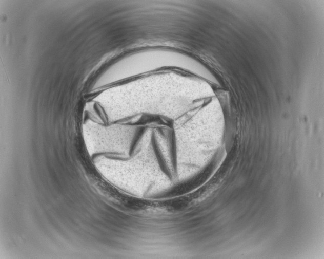 X0000085290256200704092239