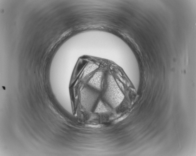 X0000085290260200704092239