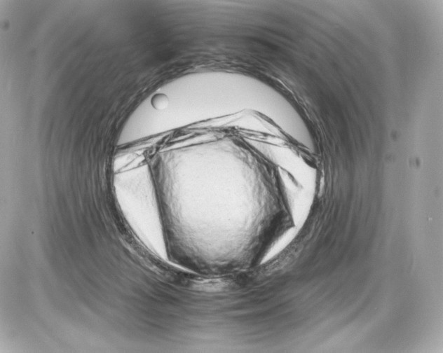 X0000085290269200704092240