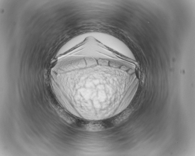 X0000085290270200704092240