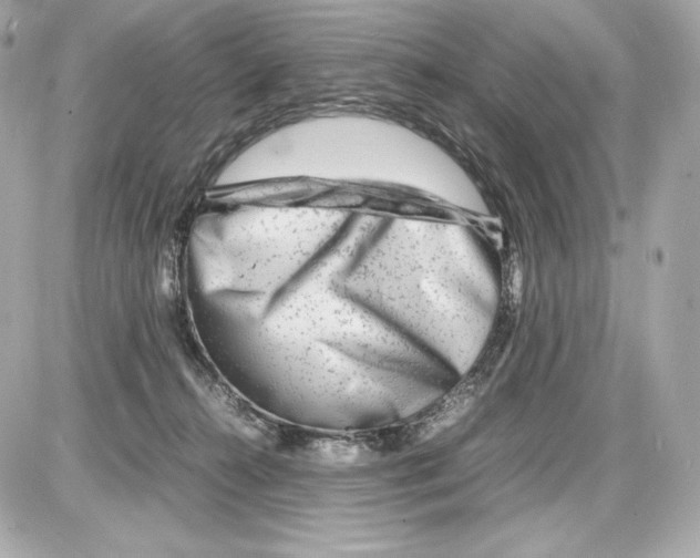 X0000085290272200704092240