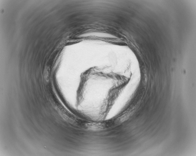 X0000085290273200704092240