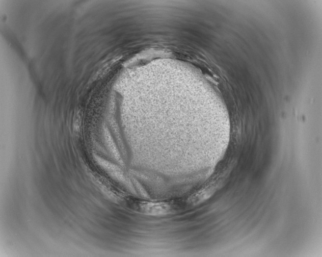 X0000085290277200704092240