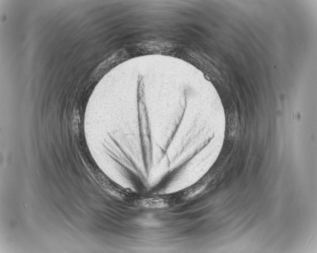 X0000085290279200704092240