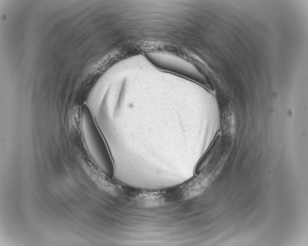 X0000085290280200704092240
