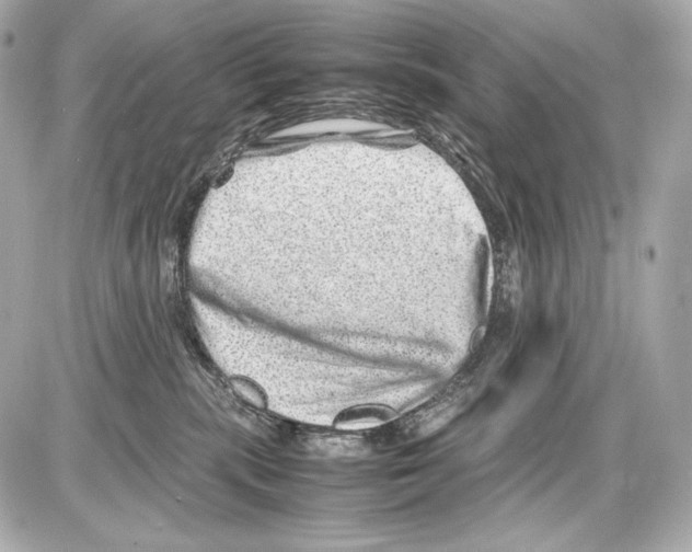X0000085290283200704092240