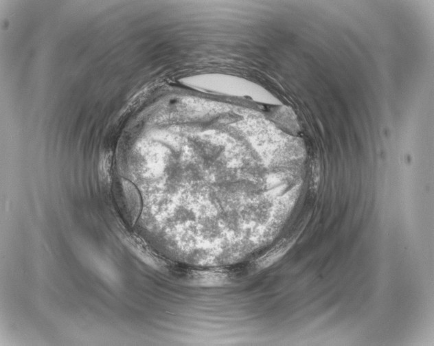 X0000085290286200704092240