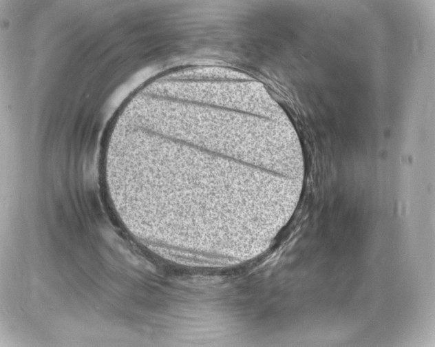 X0000085290292200704092239