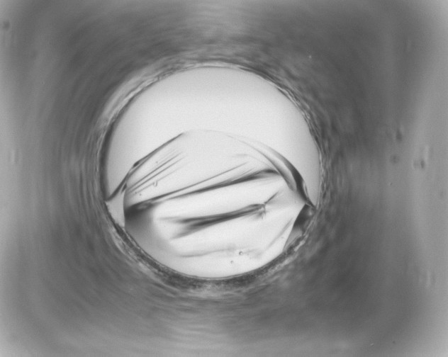 X0000085290293200704092239