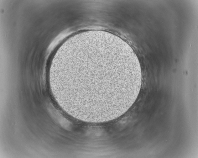 X0000085290296200704092239