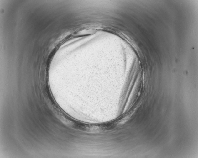 X0000085290301200704092239