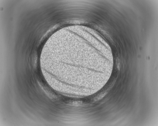 X0000085290304200704092239