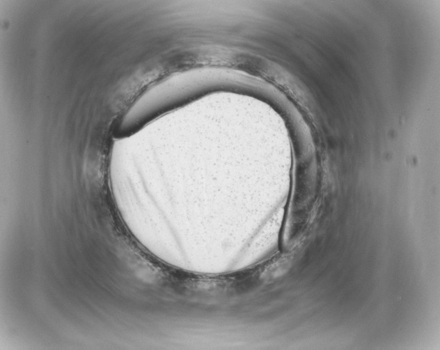X0000085290305200704092239