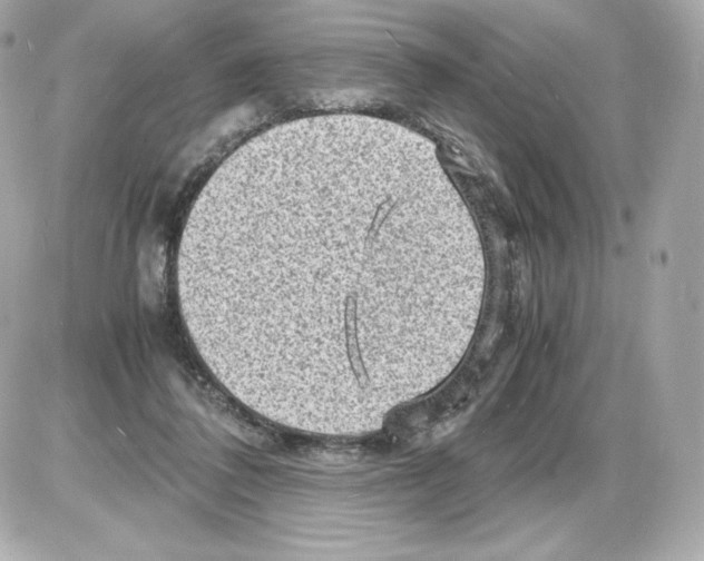 X0000085290308200704092239