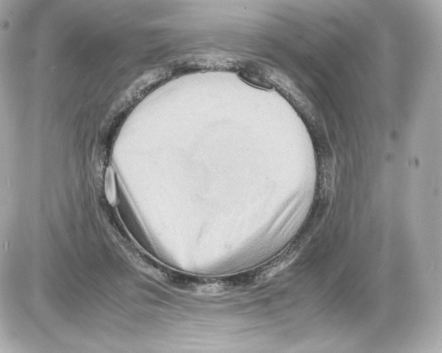 X0000085290309200704092239