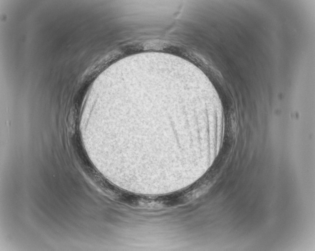 X0000085290311200704092239