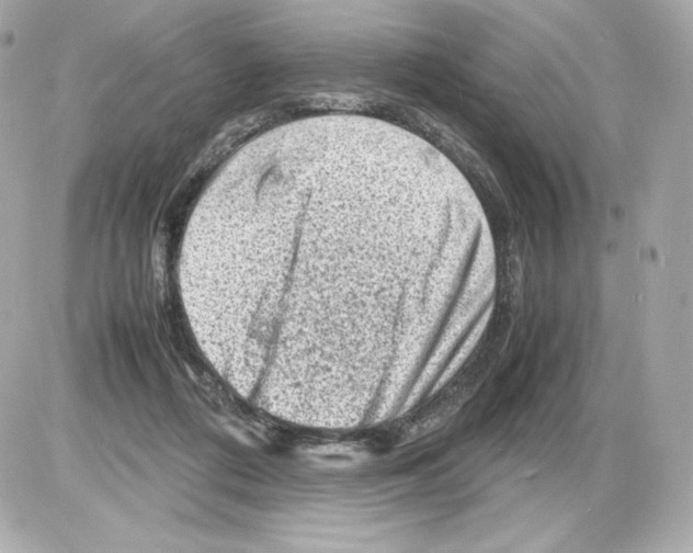 X0000085290312200704092239