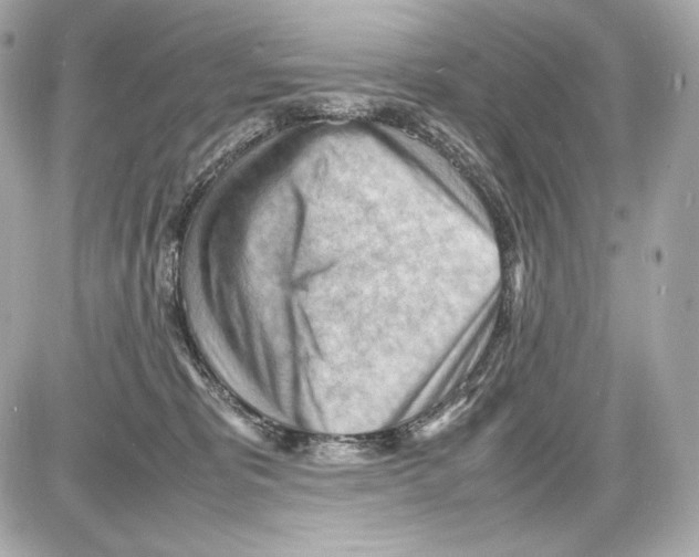 X0000085290325200704092239