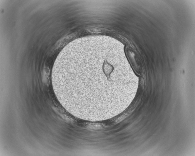 X0000085290332200704092238