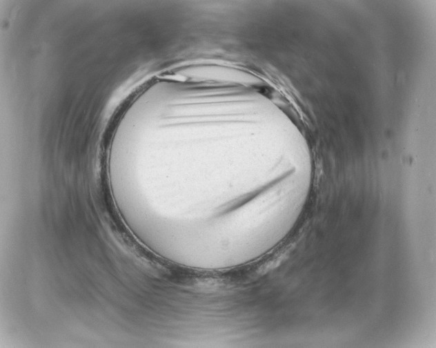 X0000085290344200704092238