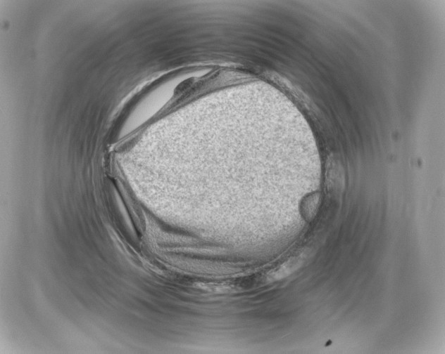 X0000085290351200704092238