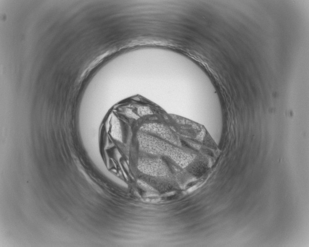 X0000085290352200704092238