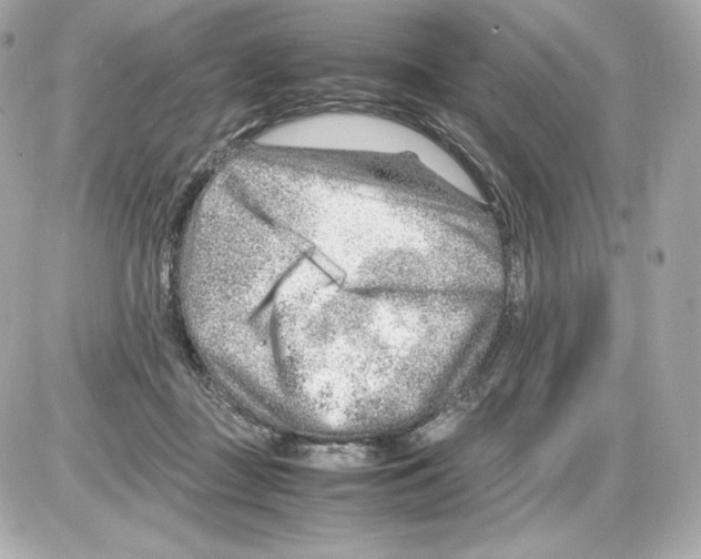 X0000085290363200704092238