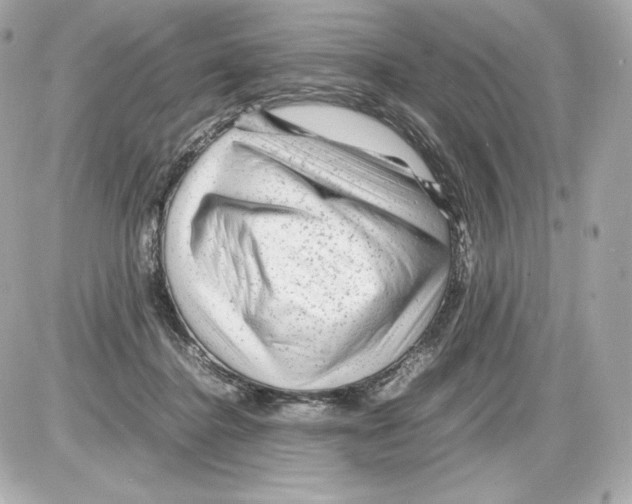 X0000085290364200704092238