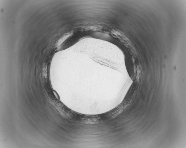 X0000085290368200704092238