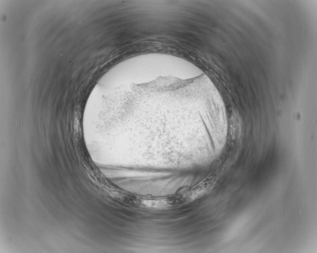 X0000085290371200704092238