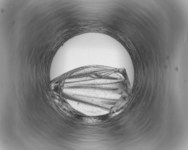 X0000085290380200704092238