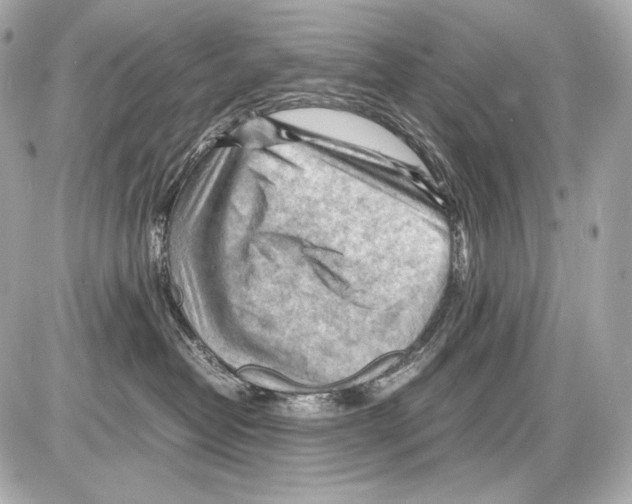 X0000085290382200704092238