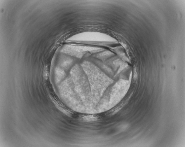 X0000085290383200704092238