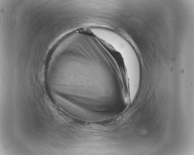 X0000085290387200704092237