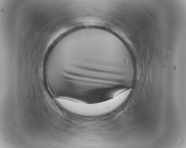 X0000085290391200704092237