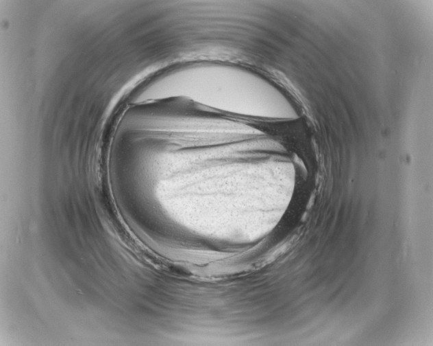 X0000085290392200704092237