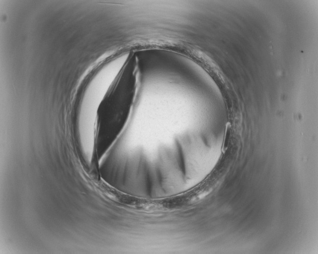 X0000085290395200704092237