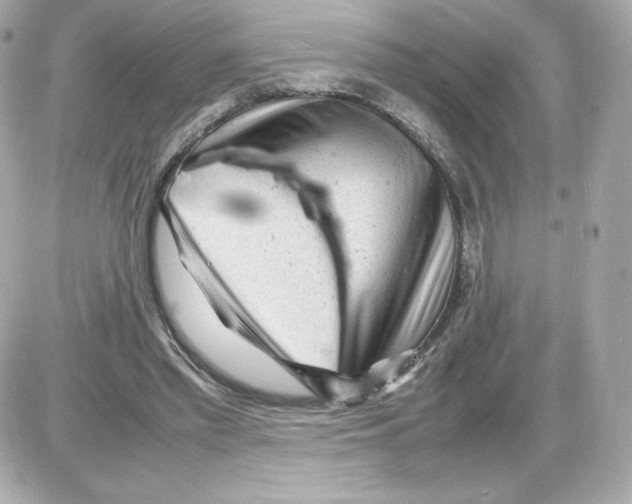 X0000085290397200704092237