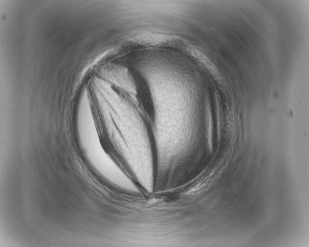 X0000085290399200704092237