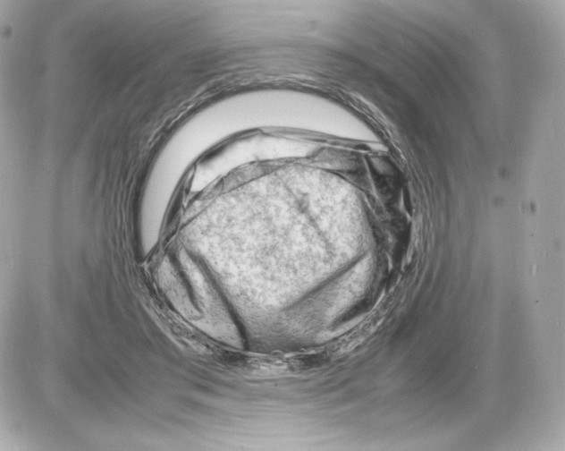 X0000085290405200704092237