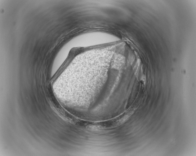 X0000085290408200704092237